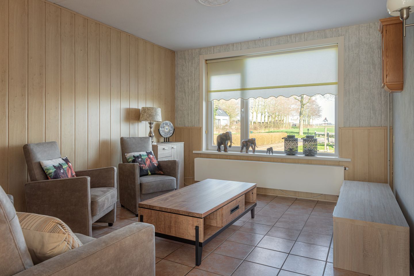 Foto 10 van Buorfinneleane 36