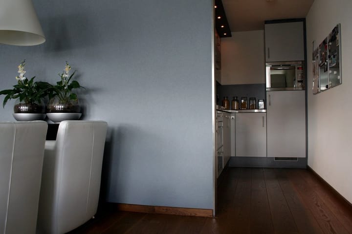 Foto 4 van Borneolaan 165