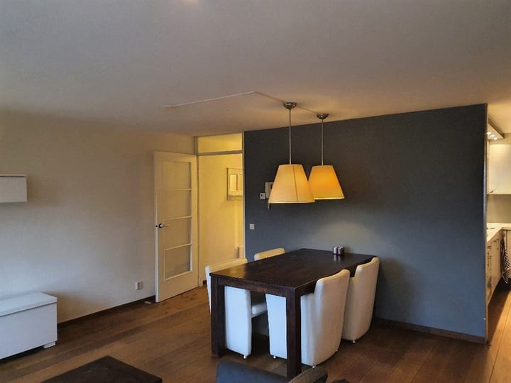 Foto 3 van Borneolaan 165