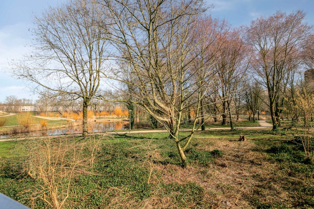 Photo 23 of Elpermeer 160