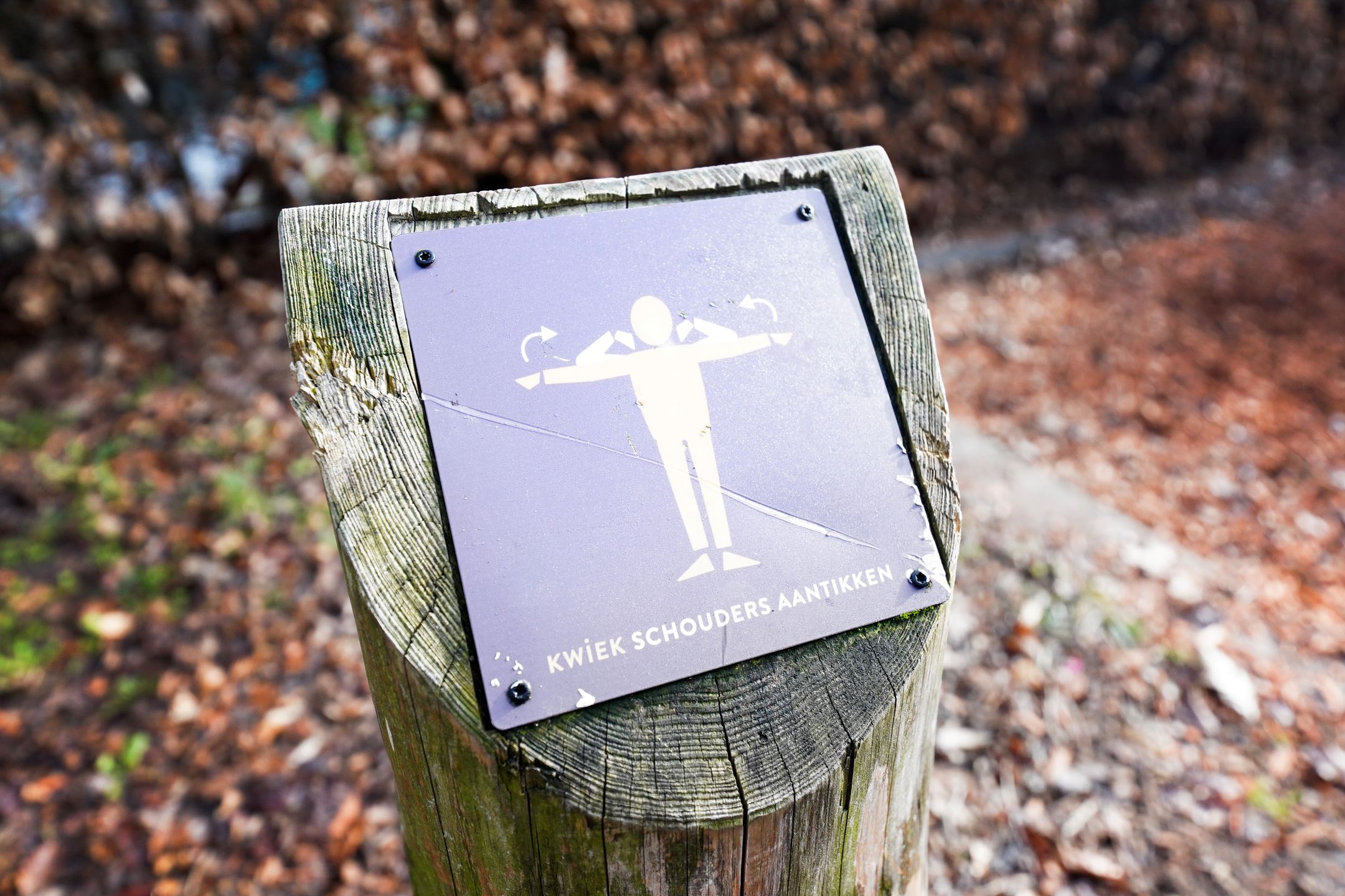 Foto 54 van Aaltsengoed 138