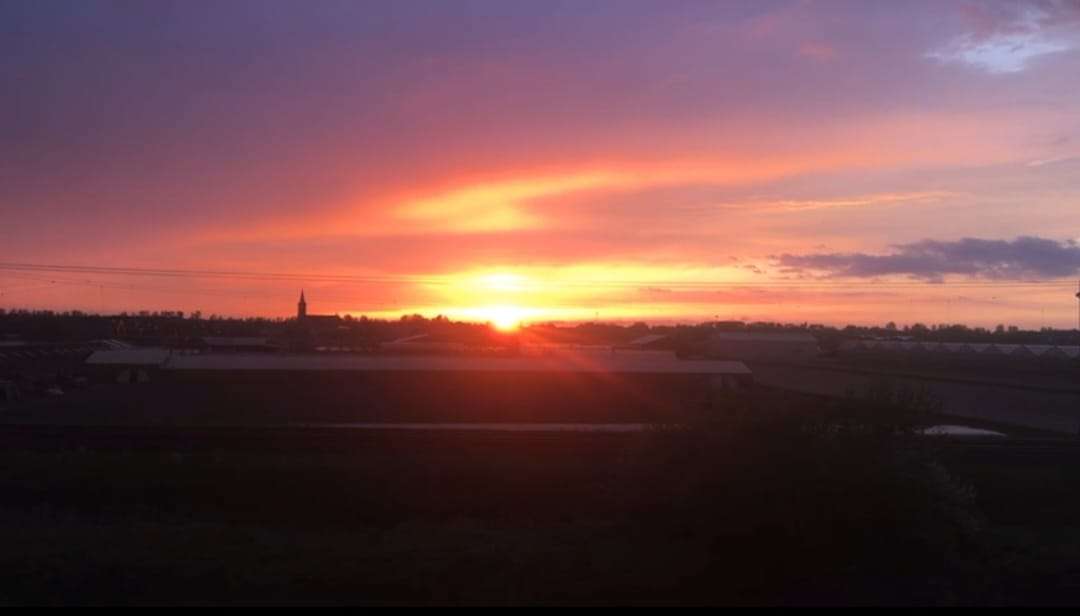 Photo 28 of Vredelaan 101