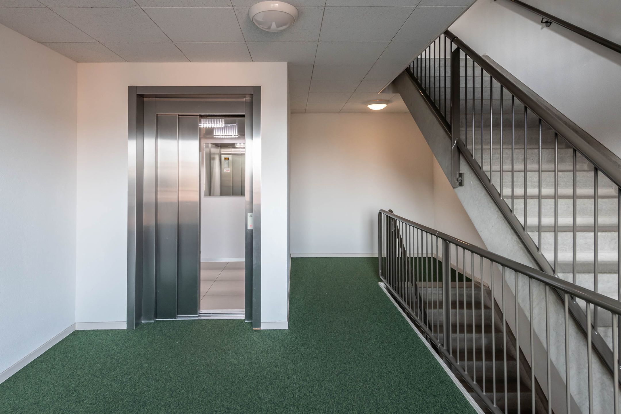 Photo 9 of Vredelaan 101