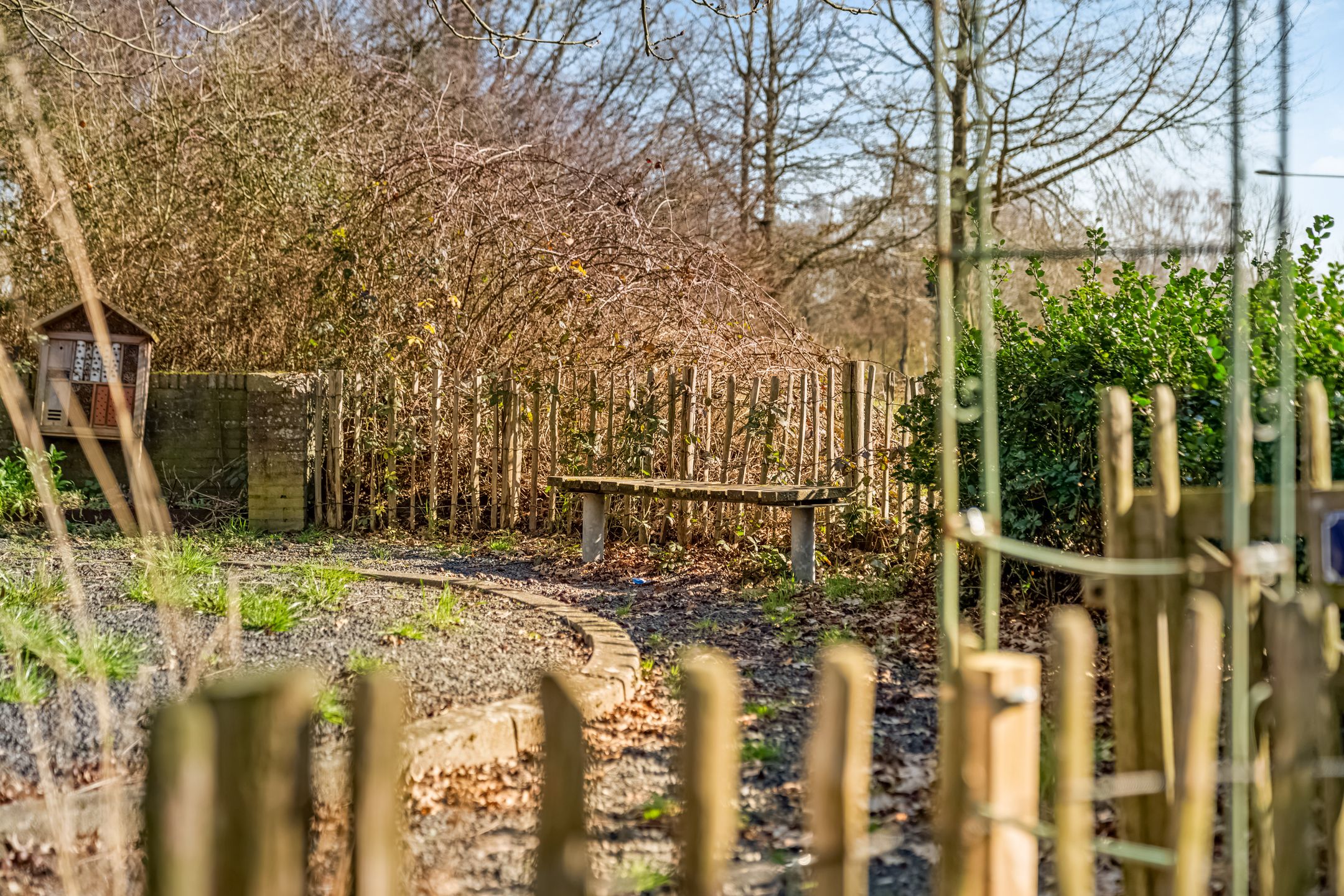 Foto 30 van Curiestraat 26