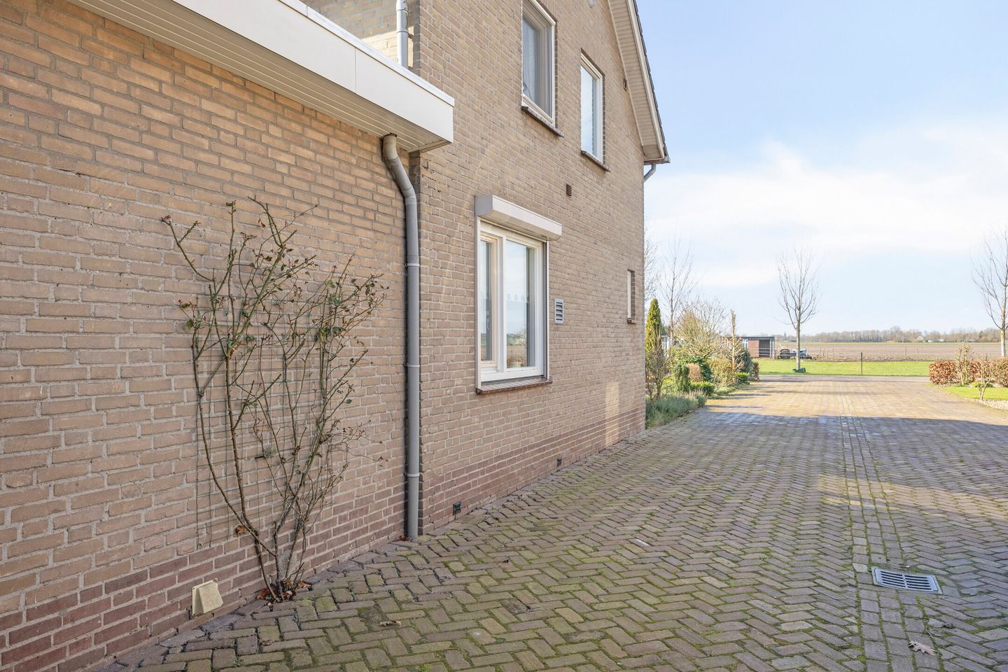 Foto 40 van Koolmeesstraat 32