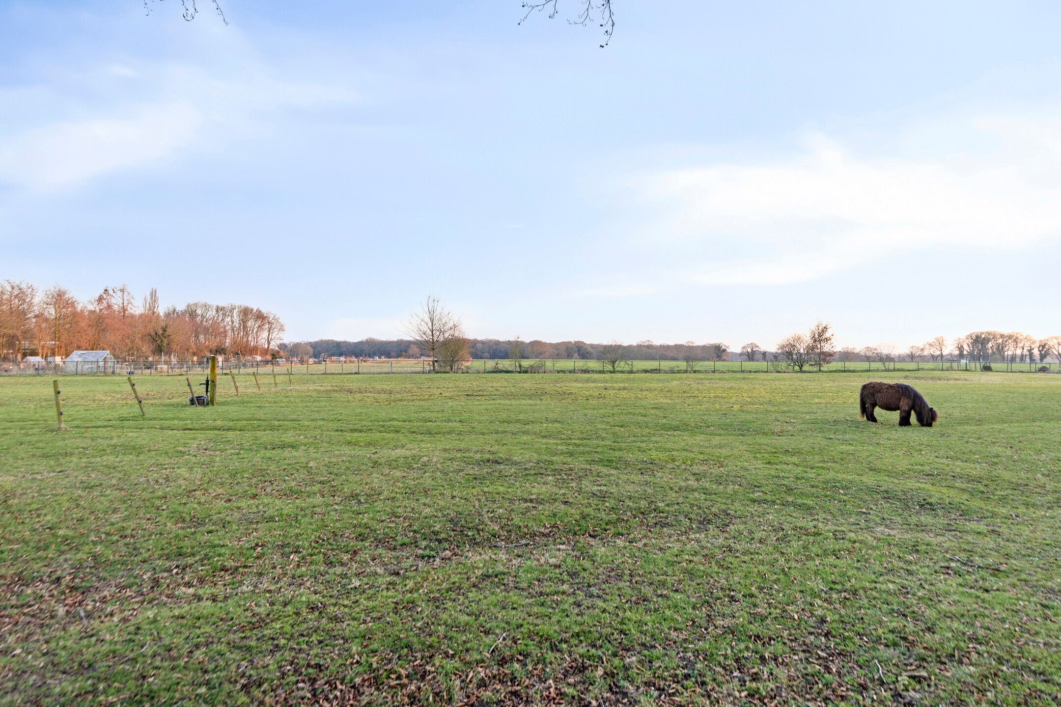 Foto 36 van Grootveenweg 15