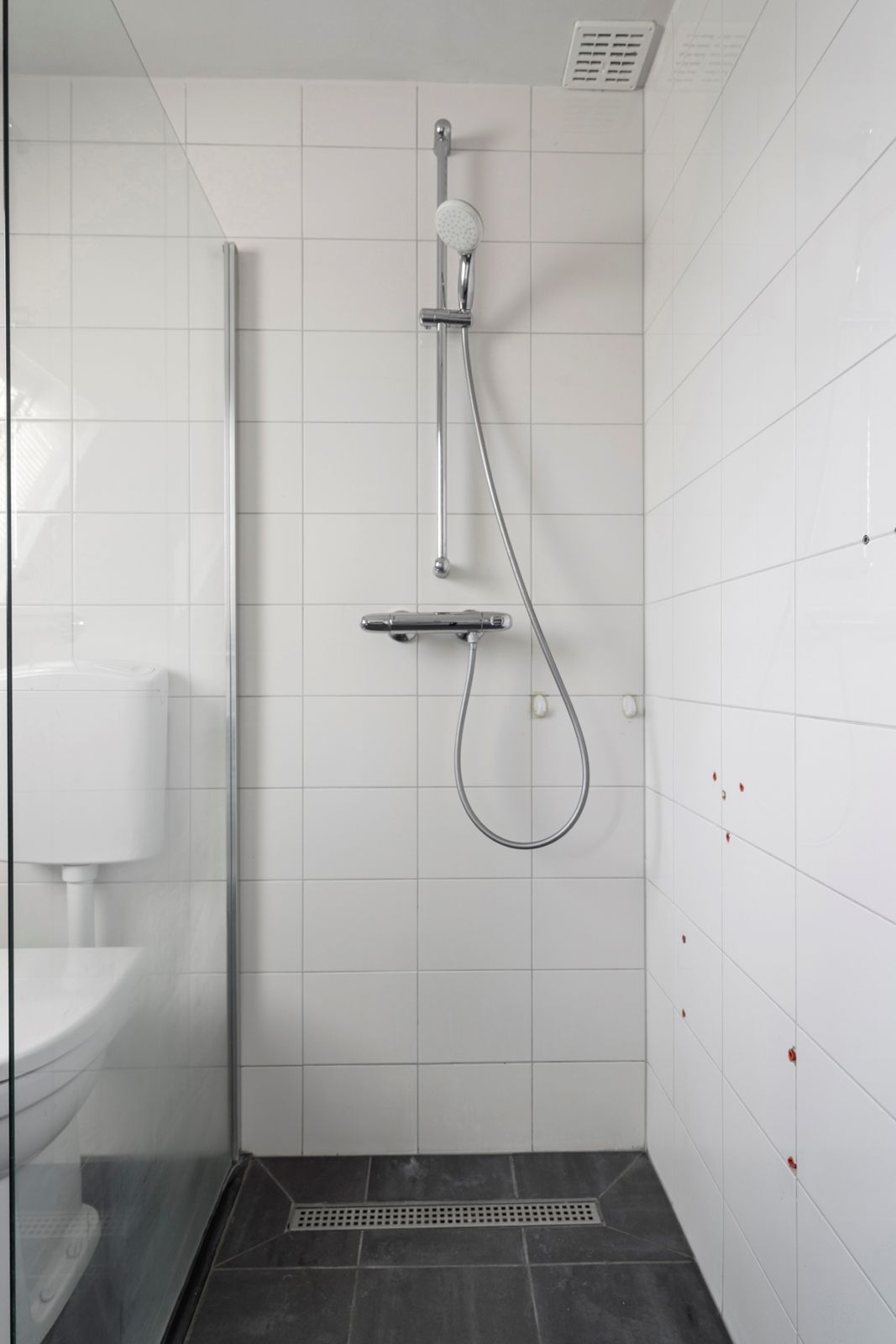 Foto 24 van Torenvalk 73