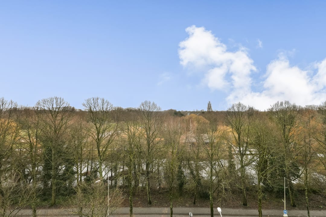 Photo 22 of Senefelderstraat 39