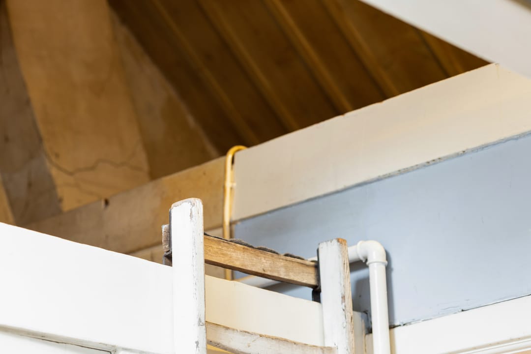 Photo 47 of Hoflaan 101