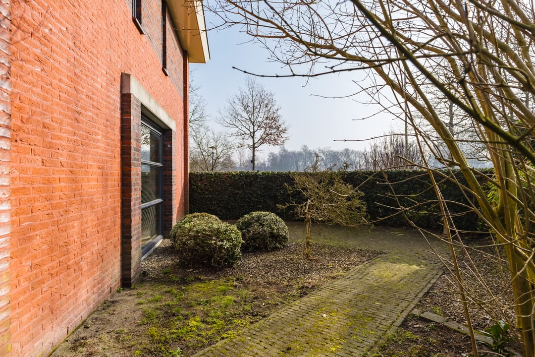 Foto 46 van Fonteinkruid 45