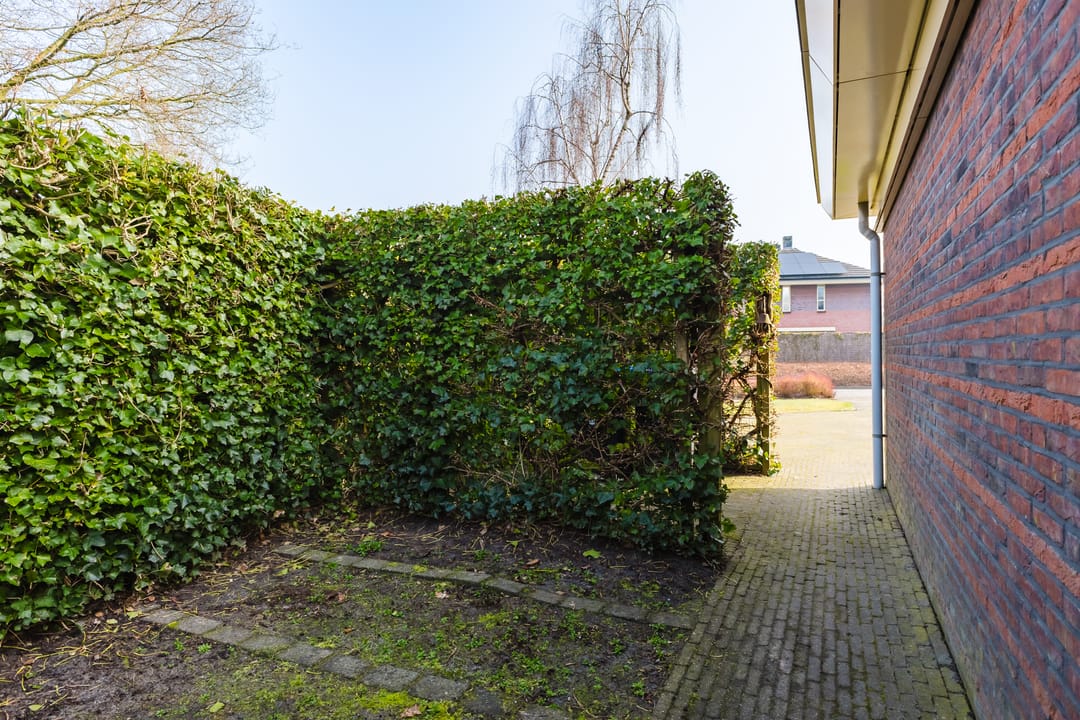 Foto 47 van Fonteinkruid 45