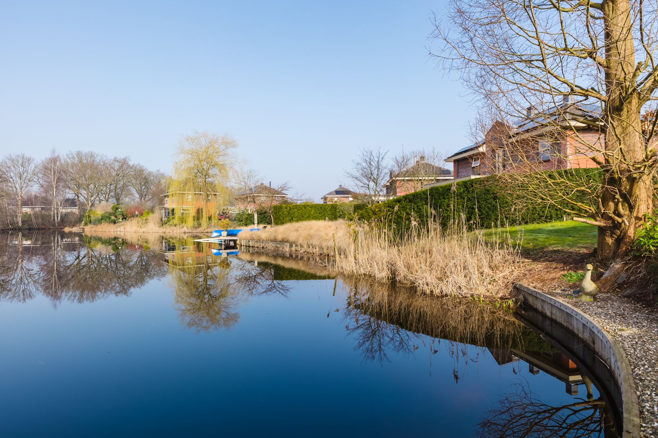 Foto 51 van Fonteinkruid 45