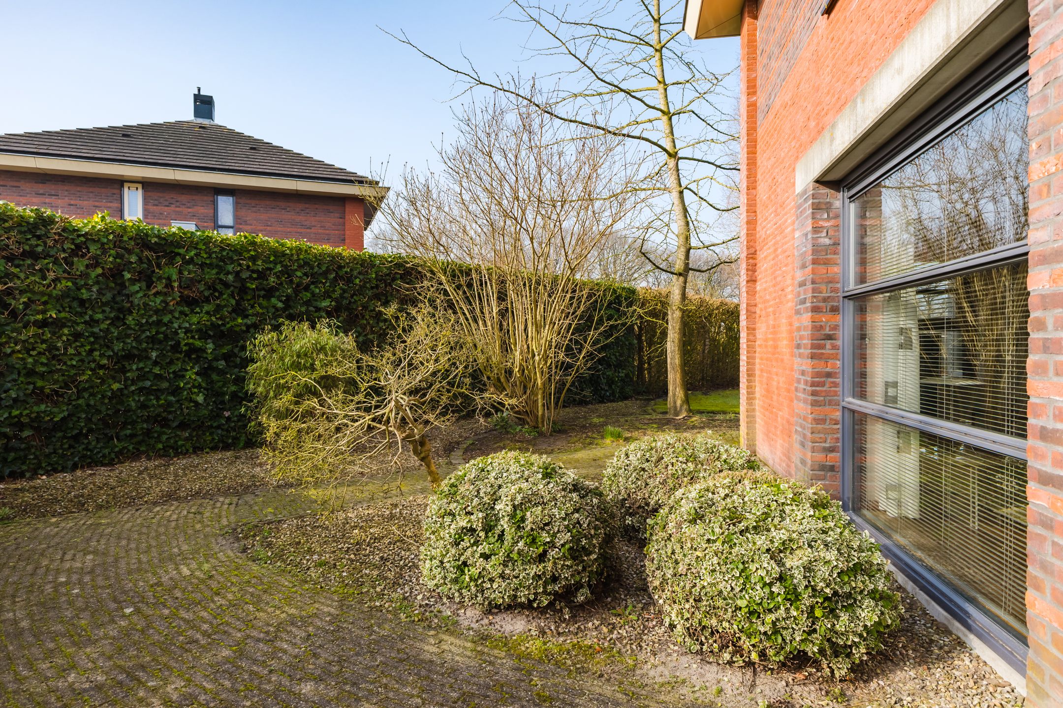 Foto 45 van Fonteinkruid 45