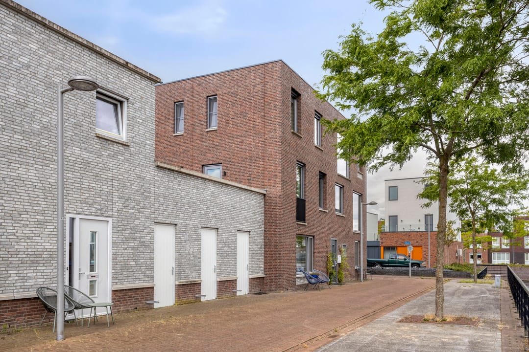 Foto 7 van Zilverschat 45