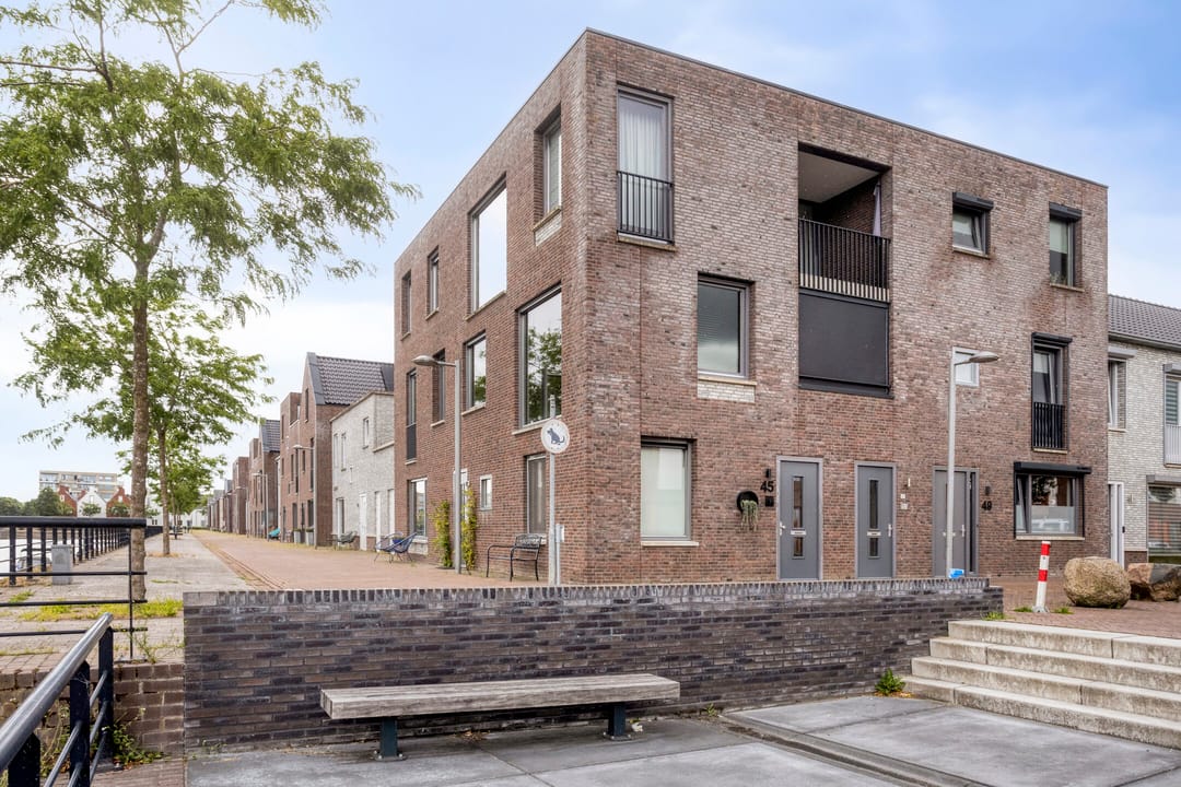 Foto 8 van Zilverschat 45