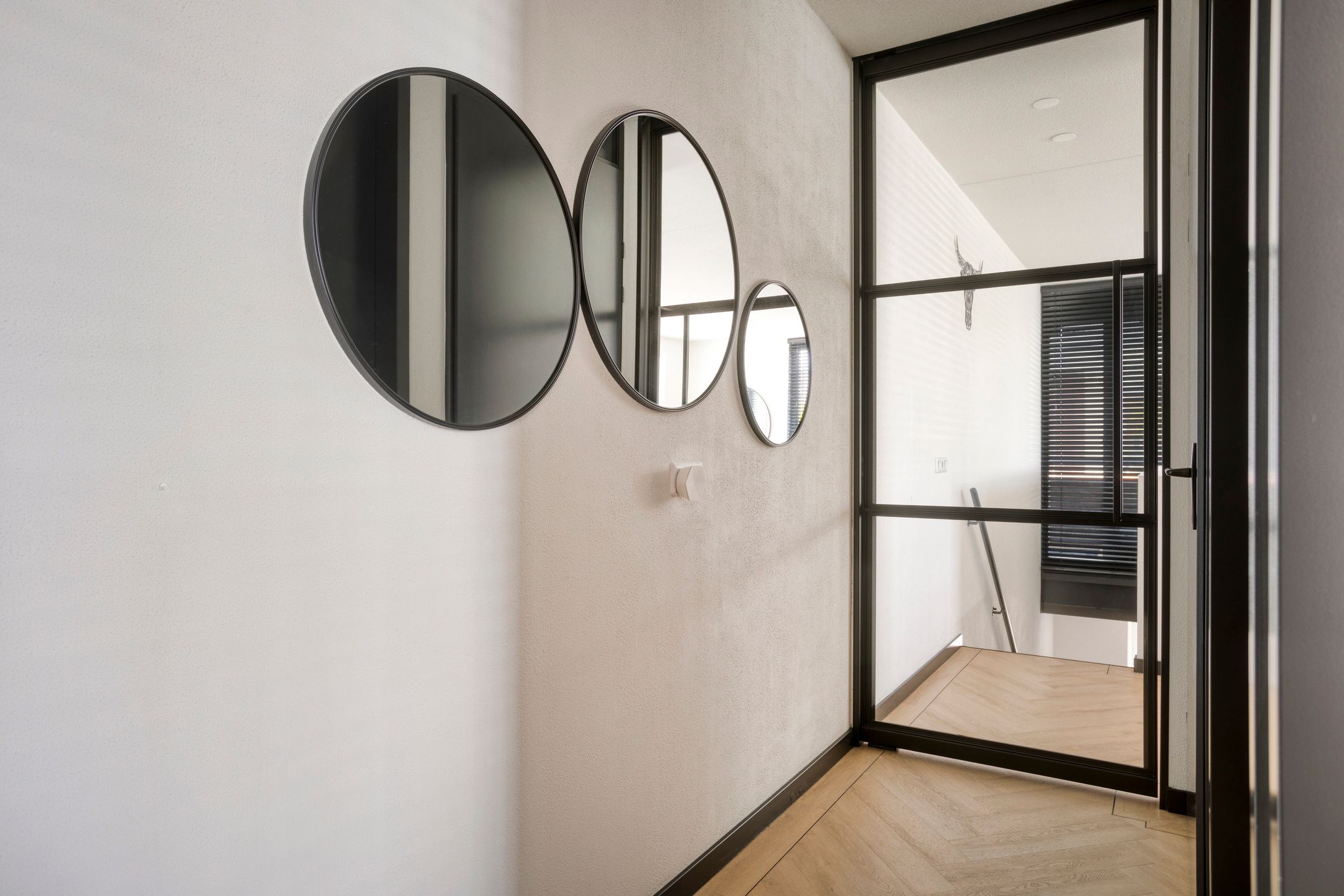 Foto 21 van Zilverschat 45