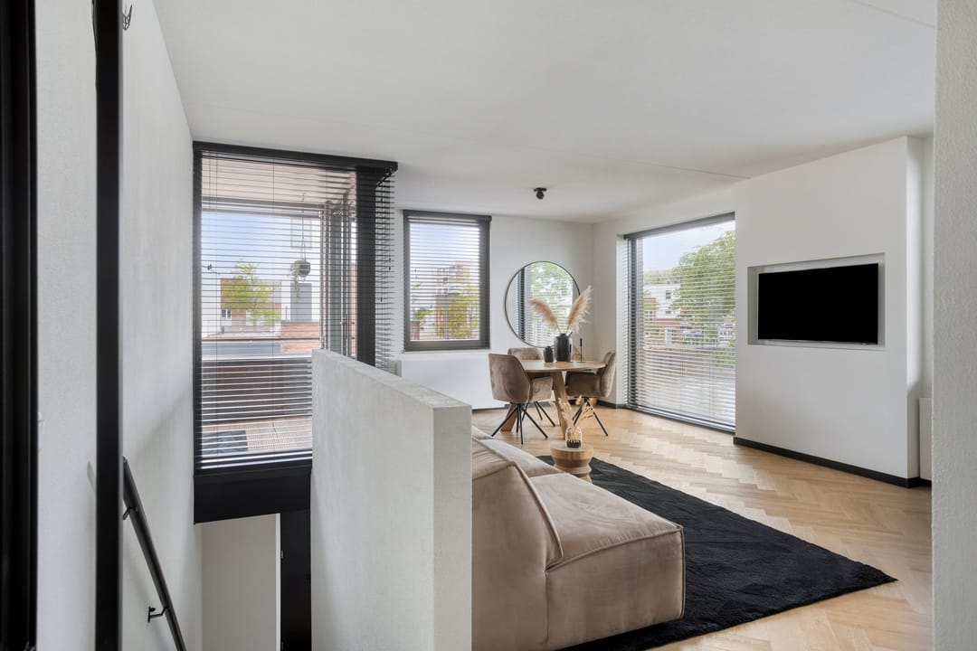 Foto 11 van Zilverschat 45