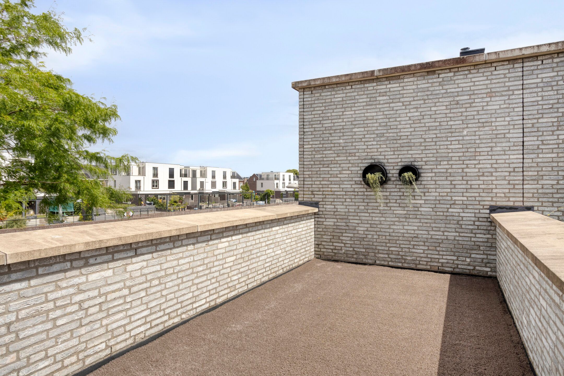 Foto 24 van Zilverschat 45