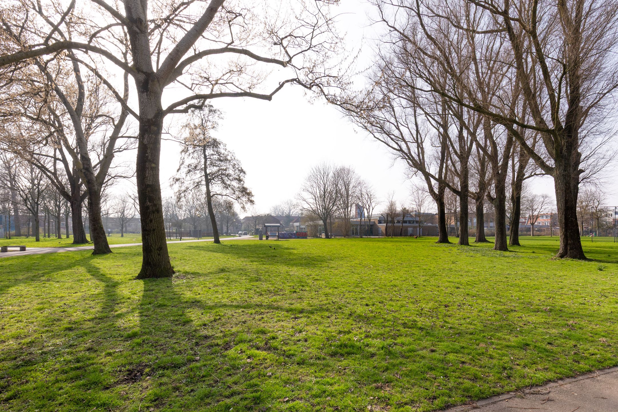 Foto 27 van Schoterweg 31-C