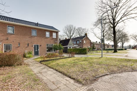 undefined main image