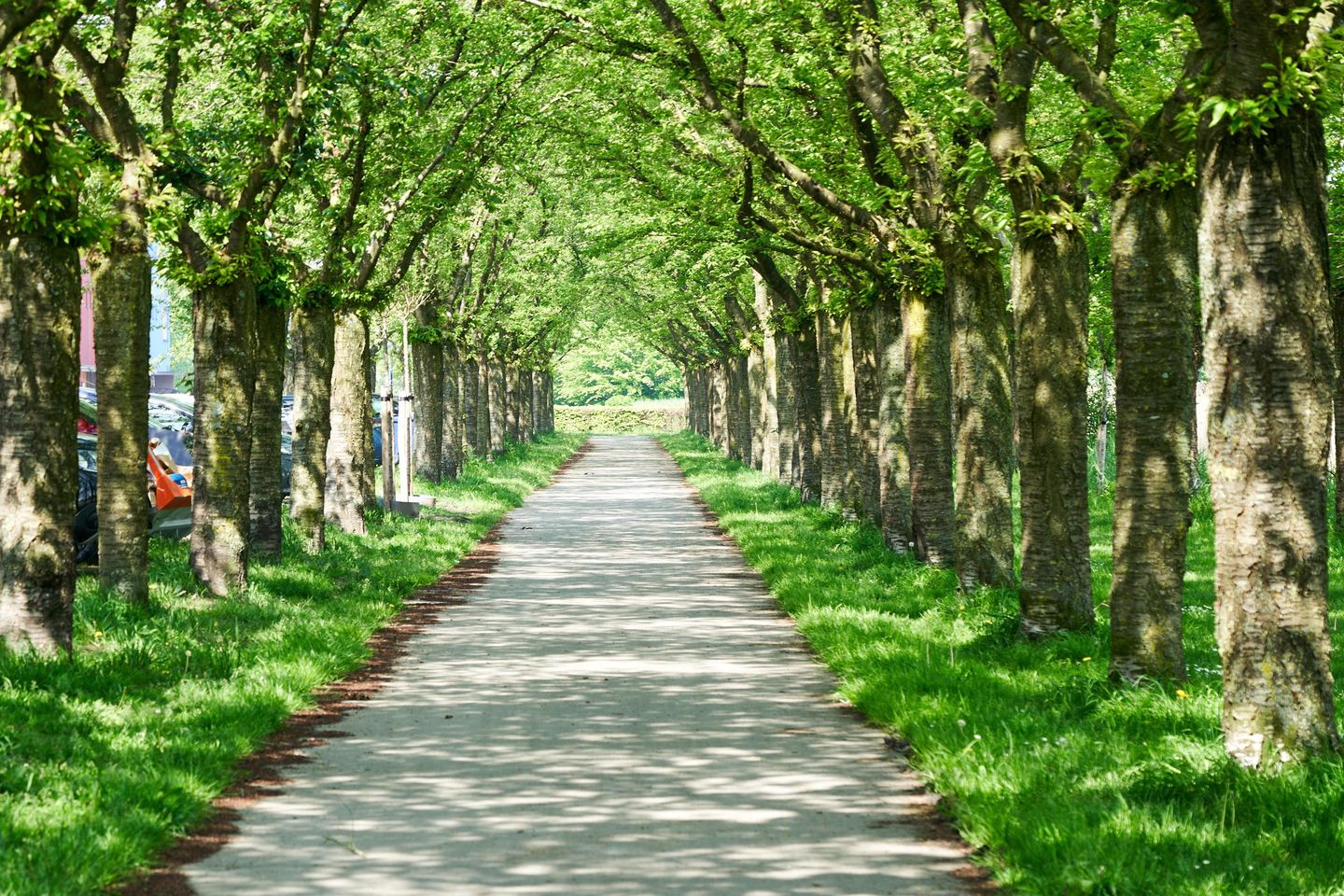 Foto 4 van Terracottastraat 56