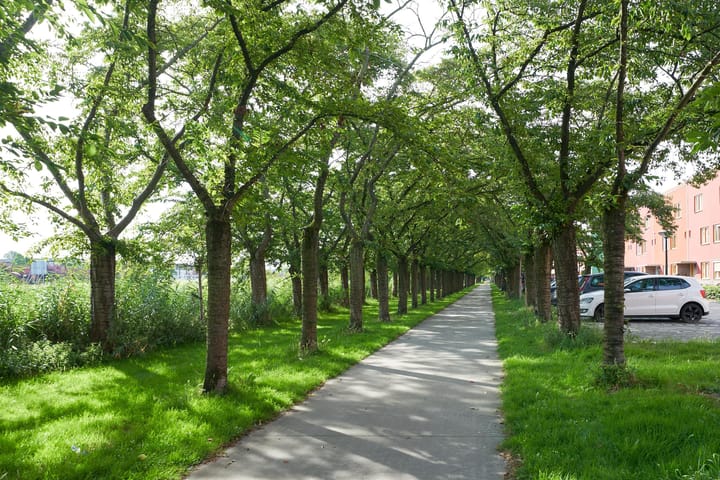 Foto 2 van Terracottastraat 56