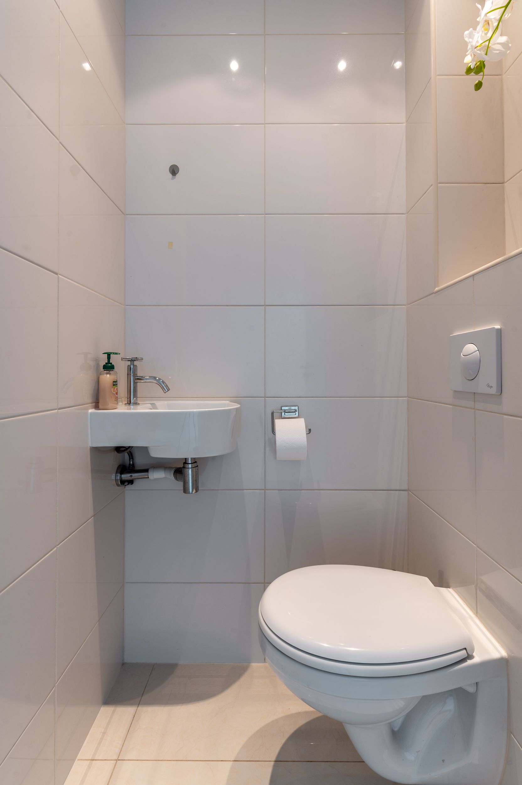 Foto 18 van Schoener 35 61