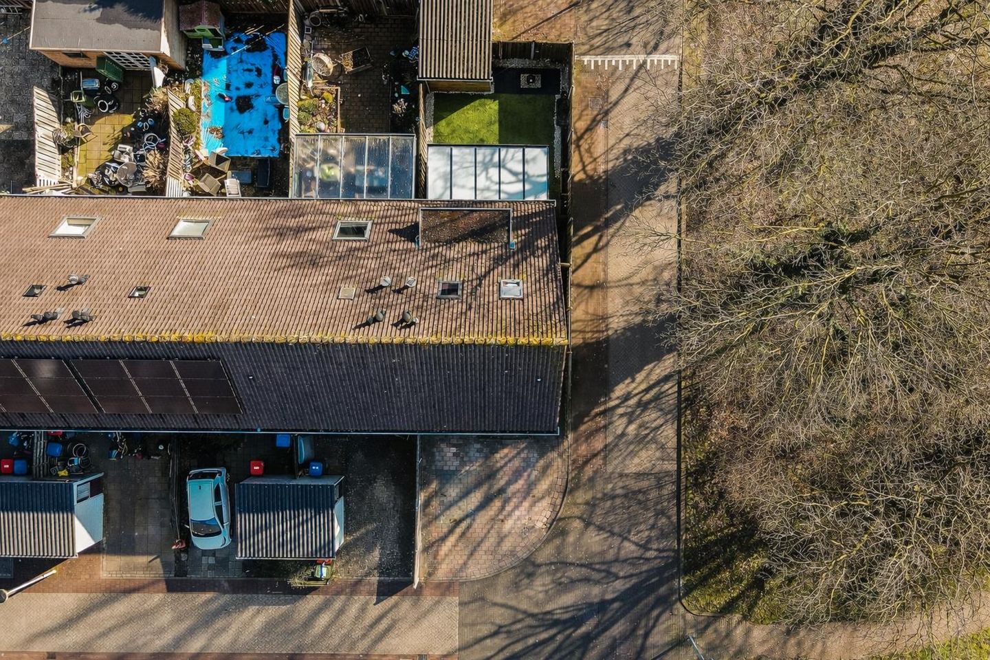 Foto 40 van Schoener 35 61