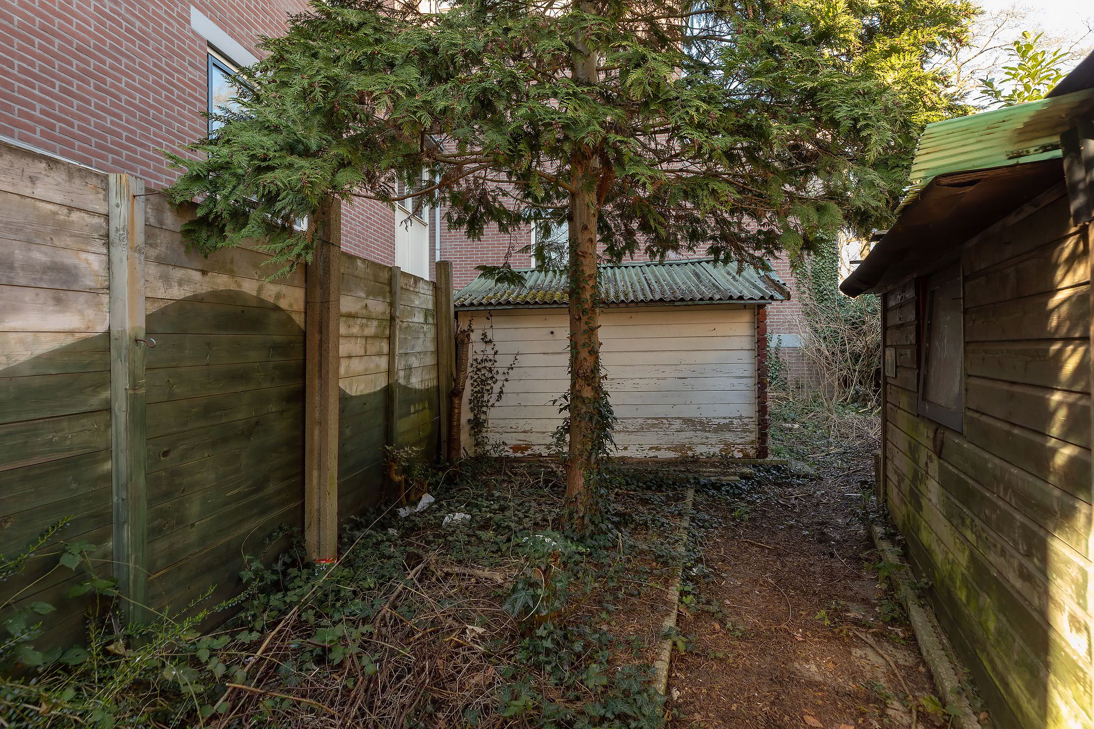 Photo 21 of Schapenkamp 250