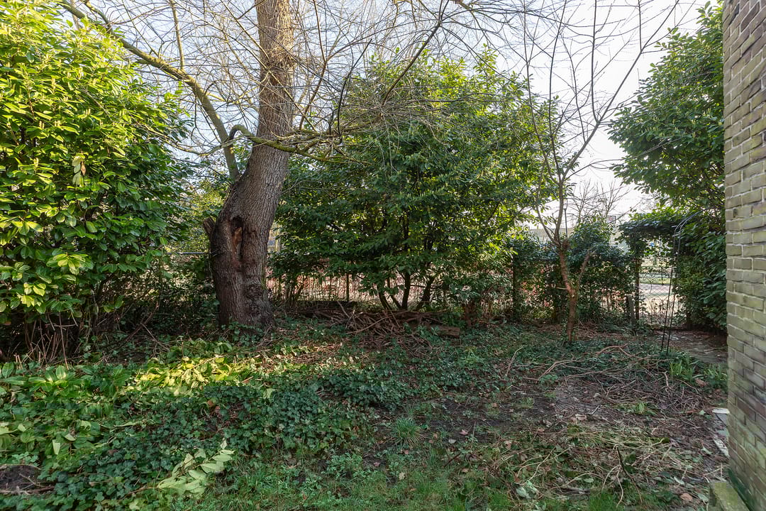 Photo 22 of Schapenkamp 250