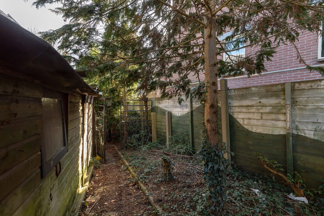 Photo 23 of Schapenkamp 250