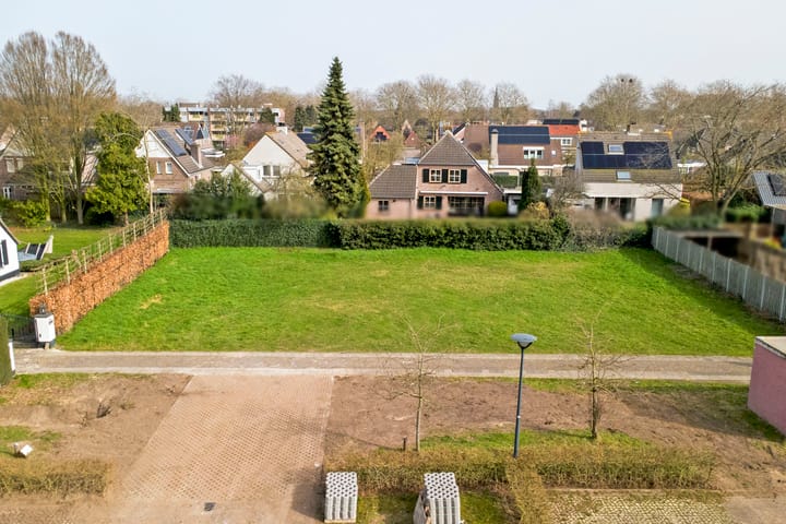 Foto 2 van Lieveheersbeestje