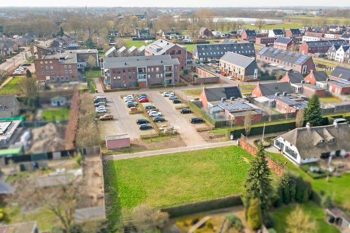 Foto 3 van Lieveheersbeestje