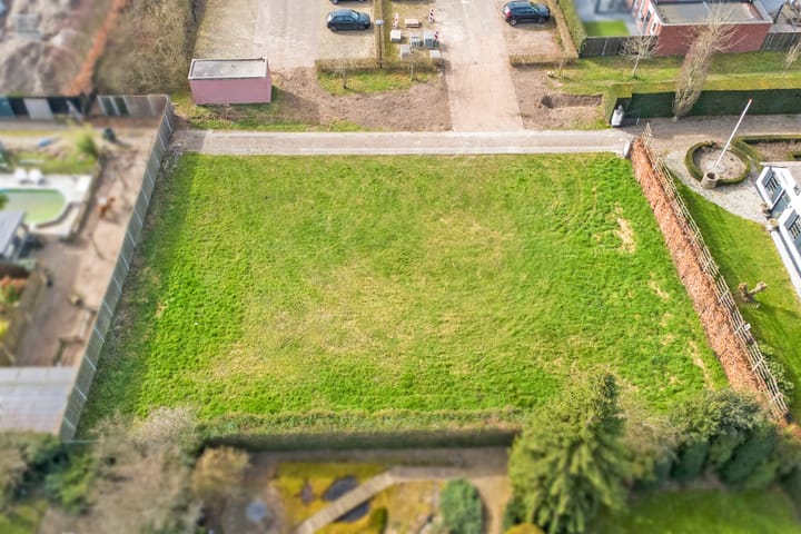 Foto 4 van Lieveheersbeestje