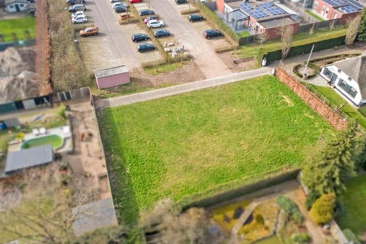 Foto 5 van Lieveheersbeestje