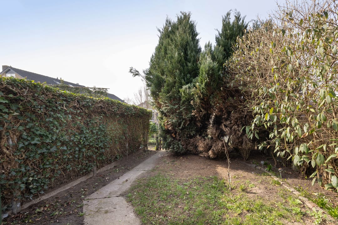 Foto 23 van Reinierstraat 22