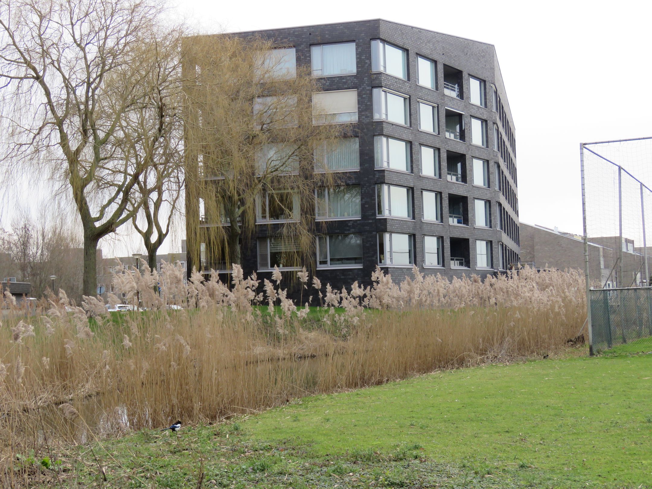 Foto 24 van Menno ter Braakstraat 170