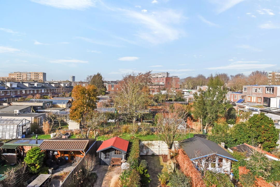 Foto 52 van Laan van de Mensenrechten 25