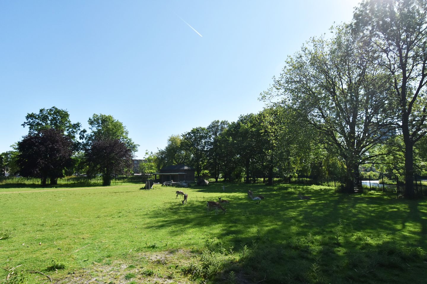 Foto 65 van Laan van de Mensenrechten 25