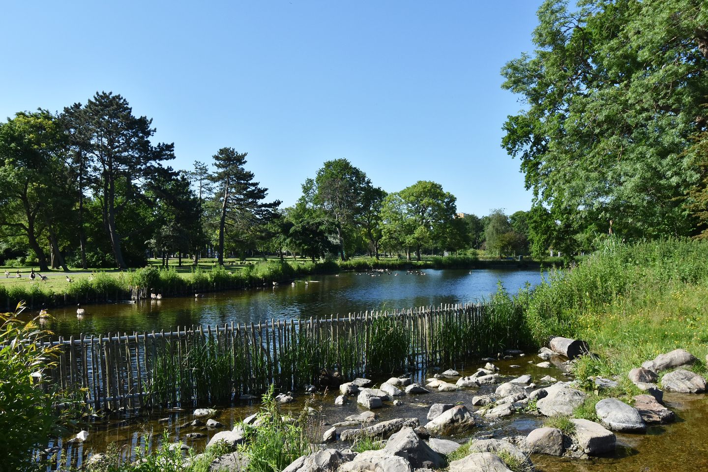 Foto 64 van Laan van de Mensenrechten 25