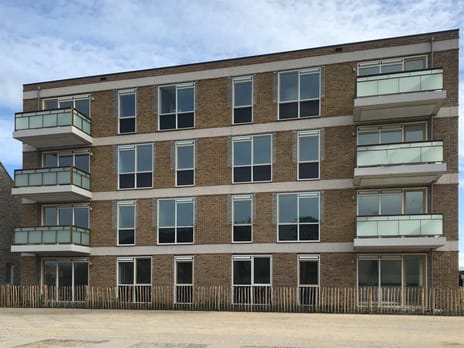 Olympus Abebe Bikilastraat Almere main image