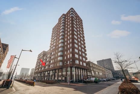 Rinus Michelslaan thumbnail