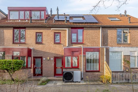 Haviksingel thumbnail