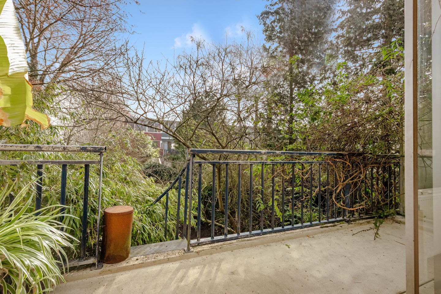 Foto 5 van Loefzij 1