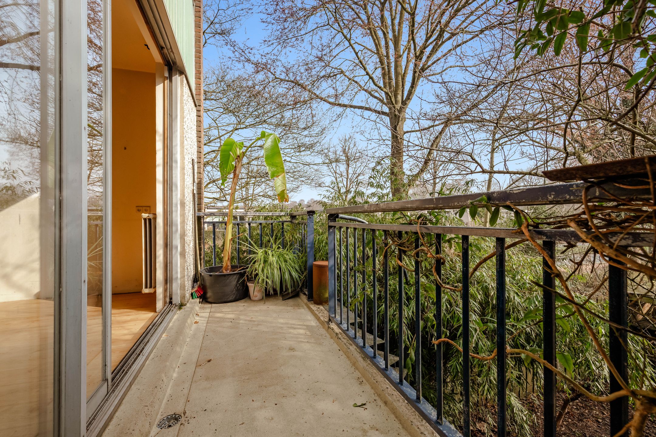 Foto 6 van Loefzij 1