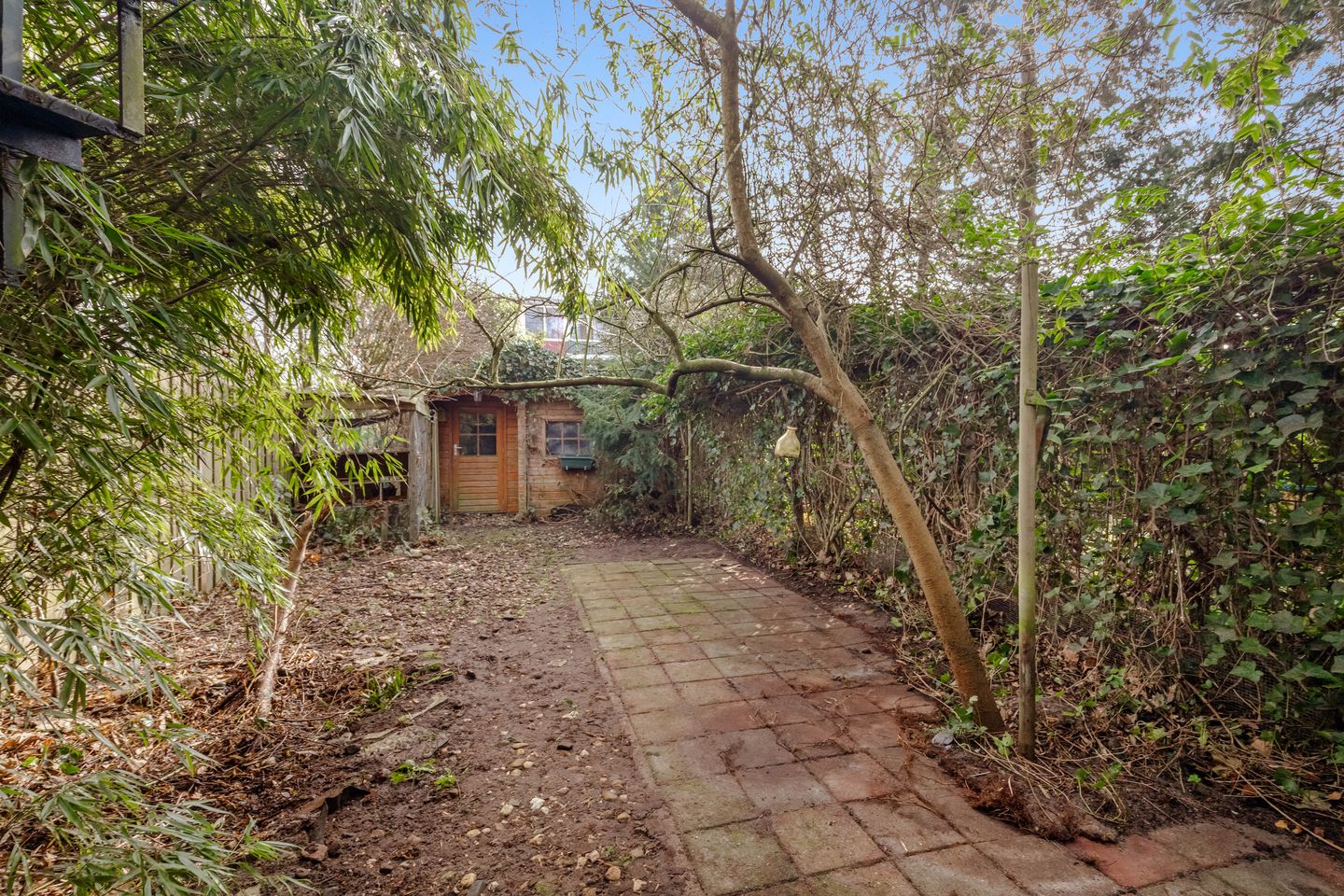 Foto 25 van Loefzij 1