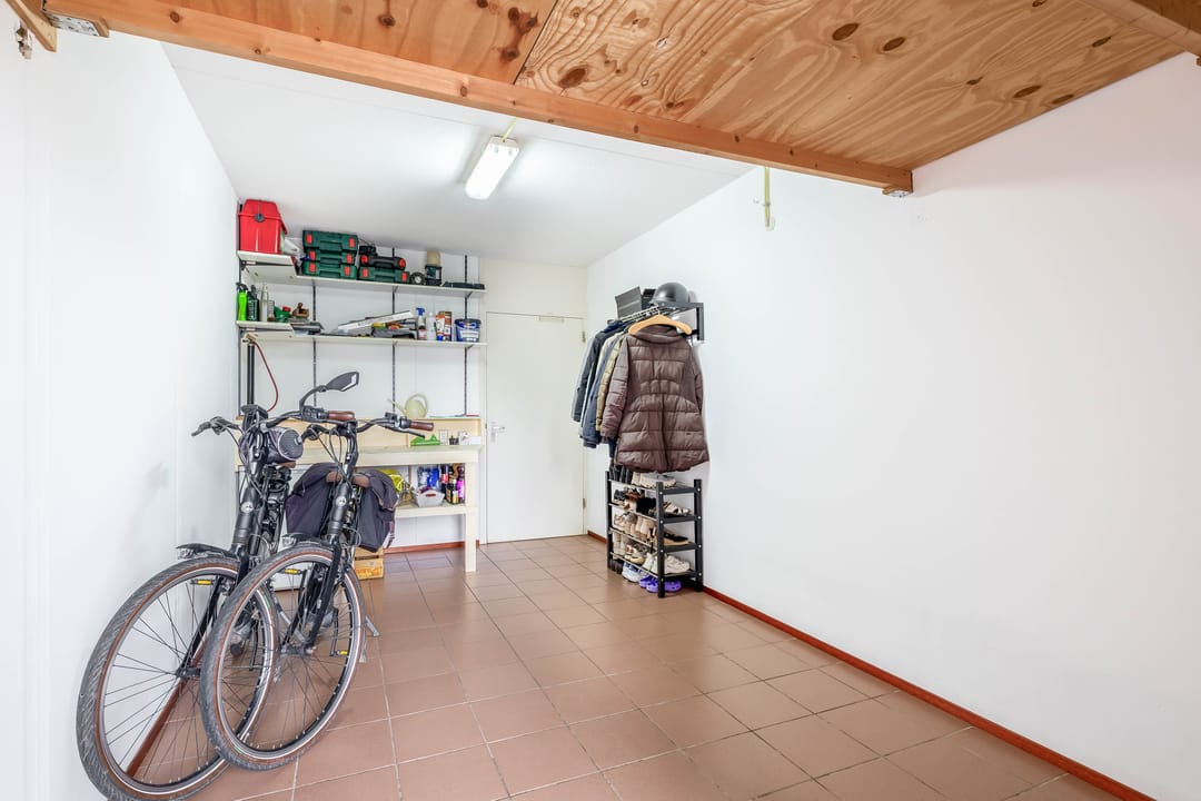 Photo 53 of Speenkruid 38