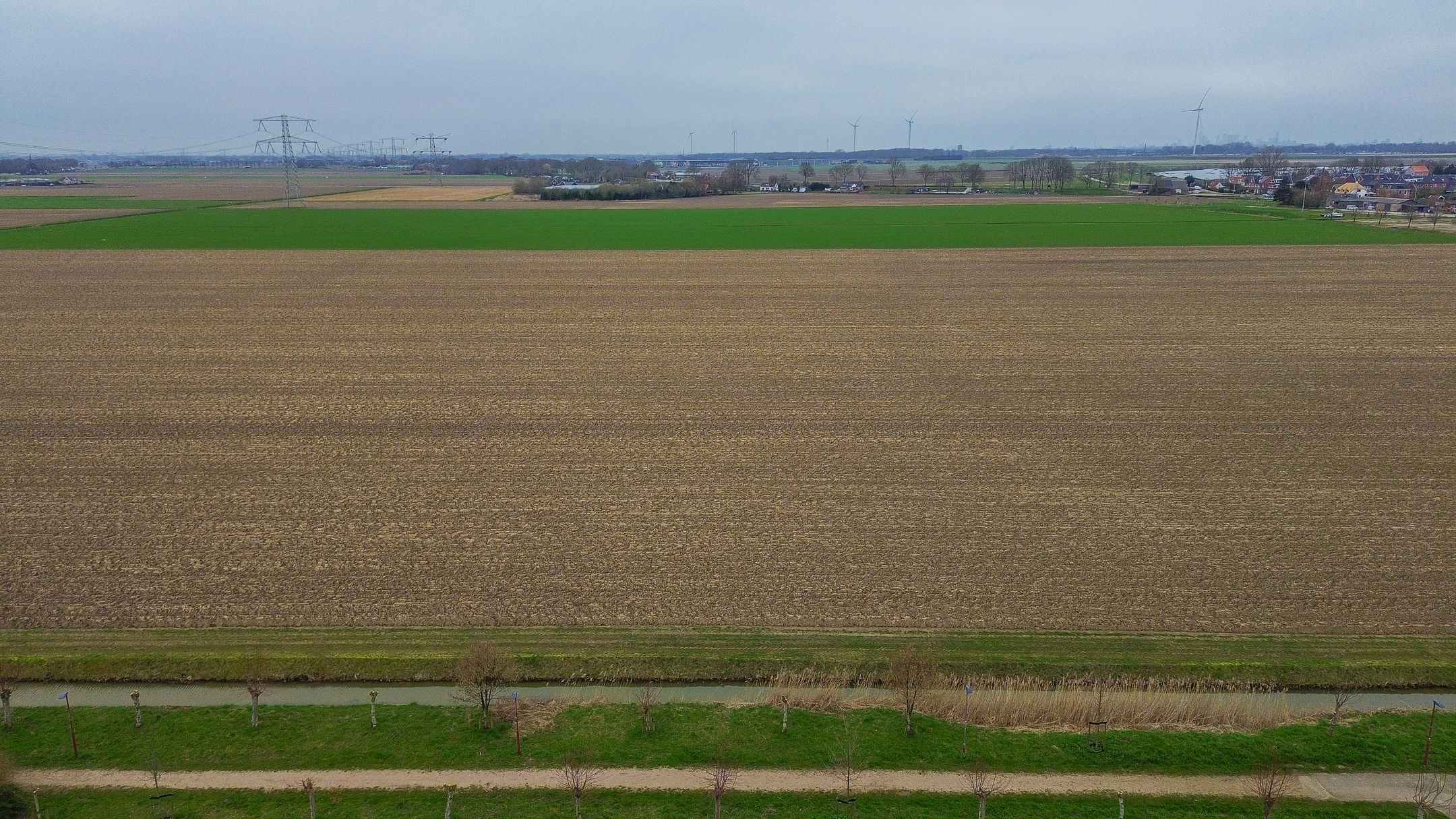 Photo 57 of Speenkruid 38