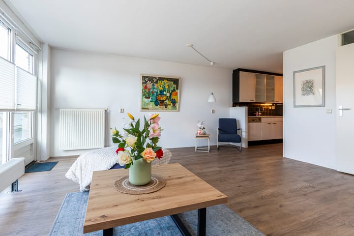 Foto 3 van Laan van Wateringse Veld 1398