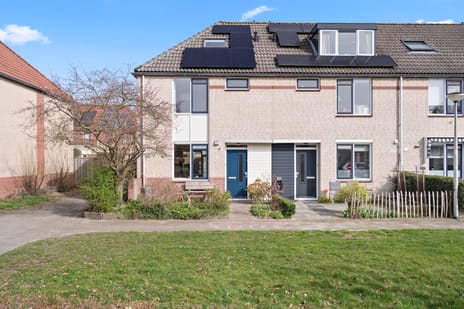 undefined main image